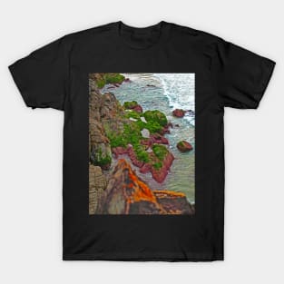 Seashore Framed T-Shirt